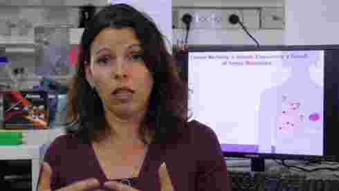 Dr. Neta Erez