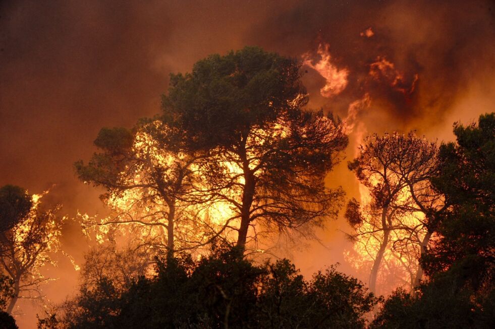 En rekke skog og gressbranner raser i Israel, der hus har gått opp i flammer og tusenvis av mennesker er evakuert.
 Foto: Ashernet