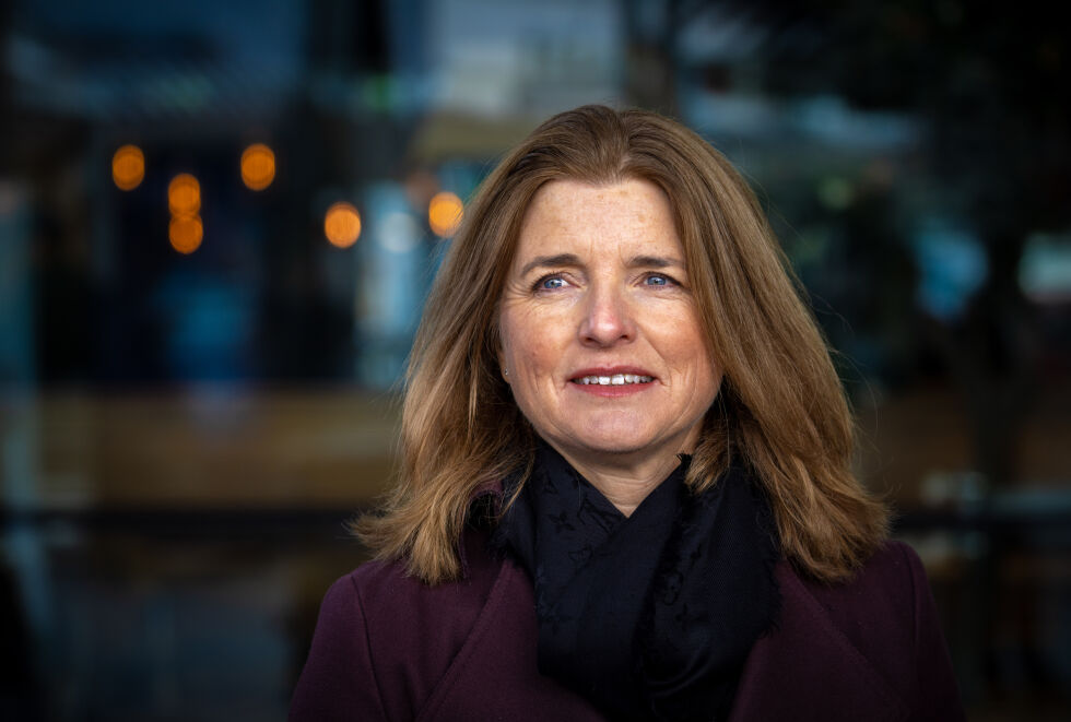 Skattedirektør Nina Schanke Funnemark opplyser at 1,1 millioner allerede har fått skatteoppgjøret sitt.
 Foto: Foto: Ole Berg-Rusten / NTB