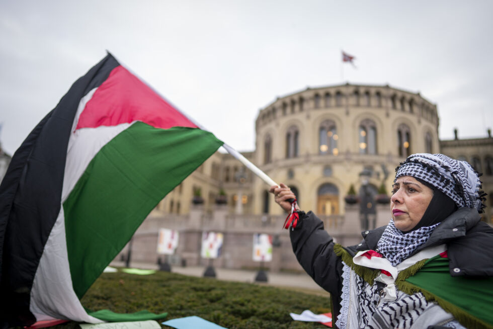 Norskpalestinske Semira Shakr Karim på Eidsvolls plass før avstemning i Stortinget om forslag om anerkjennelse av Palestina som egen stat.
 Foto: Heiko Junge / NTB