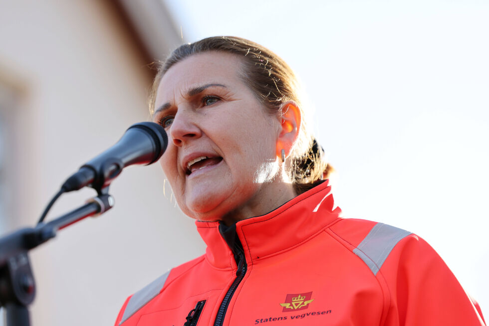 Vegdirektør Ingrid Dahl Hovland.
 Foto: NTB