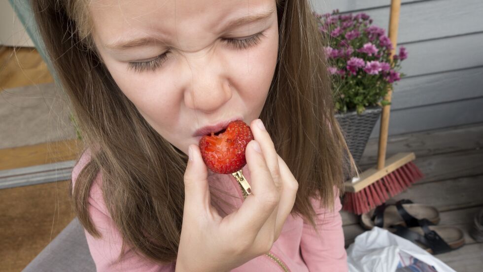 Søte jordbær er en favoritt hos de fleste. Fra neste år kan nordmenn få kjøpt en ny type jordbær, som er døpt Lykke. Illustrasjonsbilde:
 Foto: Gorm Kallestad / NTB scanpix