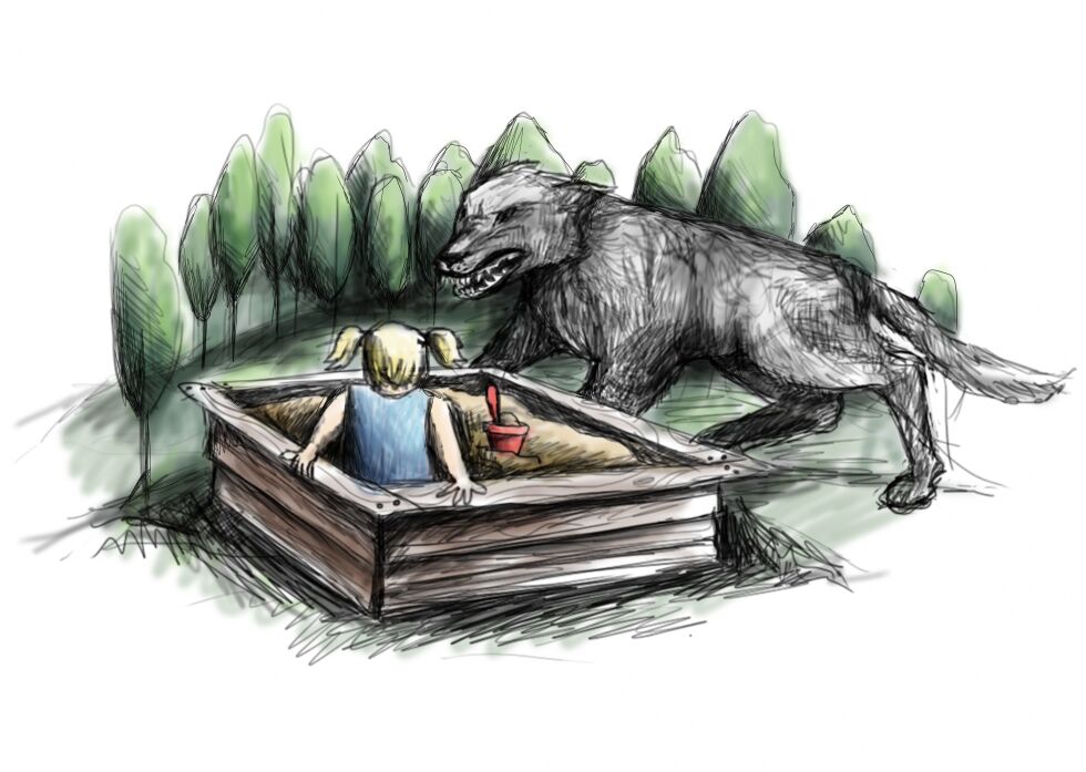 Nærgående ulv:  Ulv rundt hushjørnene er ikke akseptabelt. Vi gjør «ulven en bjørnetjeneste» om vi ikke tar ut de som nærmer seg folk og fe. Da kan kravet lett bli utryddelse.
 Foto: Sollin A. Sæle (illustrasjon)