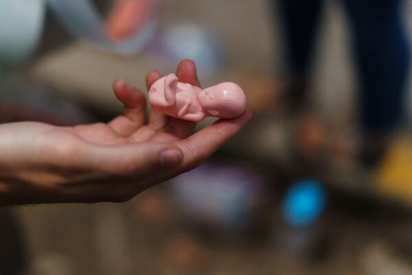 Si din mening om ny abortlov