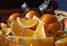 Israelvenner bruker boikottlister FOR Israel
