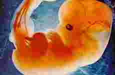 Sa nei til strengere abortlov