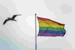 Tre av fire ordførere svarer at det heises regnbueflagg i kommunen under Pride