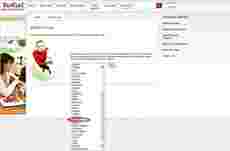 Fransk firma eliminerer Israel