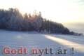 Godt nytt år !