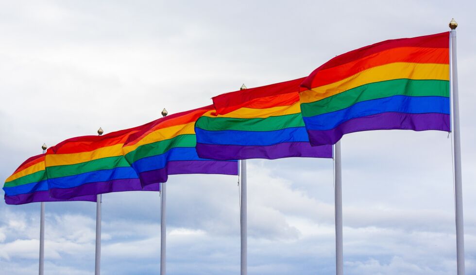 TRONDHEIM: Alle skoler, helse- og velferdssenter og kulturhus som har flaggstang får stangflagg i regnbuens farger, mens 117 barnehager får balkongflagg, har bystyret vedtatt.
 Foto: Unsplash / illustrasjonsbilde