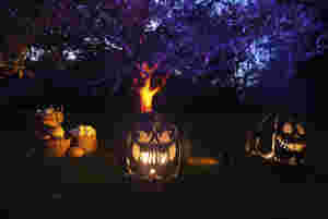 7 grunner til at du ikke bør feire Halloween