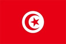 Revolusjonen i Tunisia - betydning for den arabiske verden