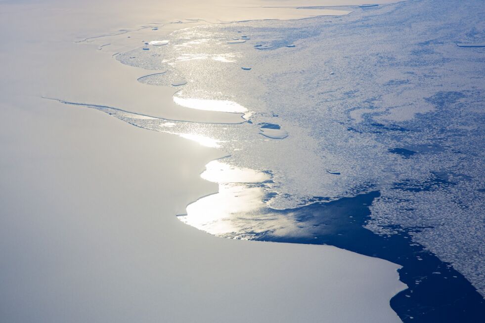 Antarktis: – Det er funnet fossiler av både palmer og magnolia på Svalbard. Rester av palmetrær er også funnet i Antarktis. Det vil si at temperaturene har vært langt høyere enn de er per i dag. Mens mange i dag er bekymret for at isen skal smelte på Nordpolen, har den faktisk vært totalt isfri tidligere, skriver Trine Overå Hansen.
 Foto: NTB scanpix