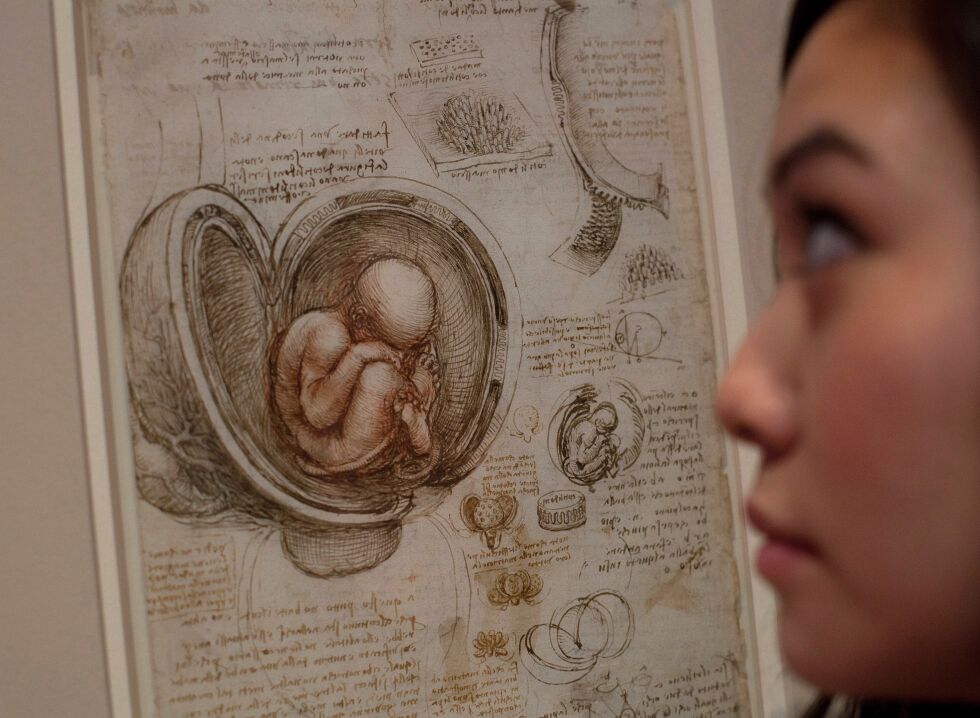 Tegning av Leonardo da Vinci med tittelen 'Studier av fosteret i magen', fra omkring 1510-13, utstilt i Buckingham Palace 30. april 2012.
 Foto: AP Photo/Alastair Grant/NTB.