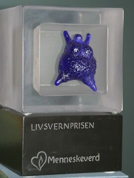 Livsvernprisen til Marie Aakre