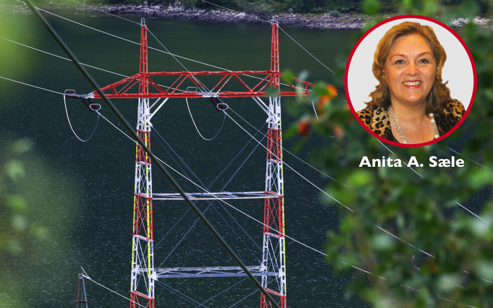 Høyspentmaster og kraftledninger ut fra Songa vannkraftverk i Vinje.
 Foto: Ørn E. Borgen/NTB, Foto: Norge IDAG (innfelt)