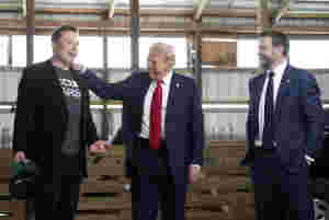 Trump-hatet muterer