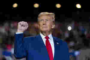 Trump gjorde rent bord i vippestatene