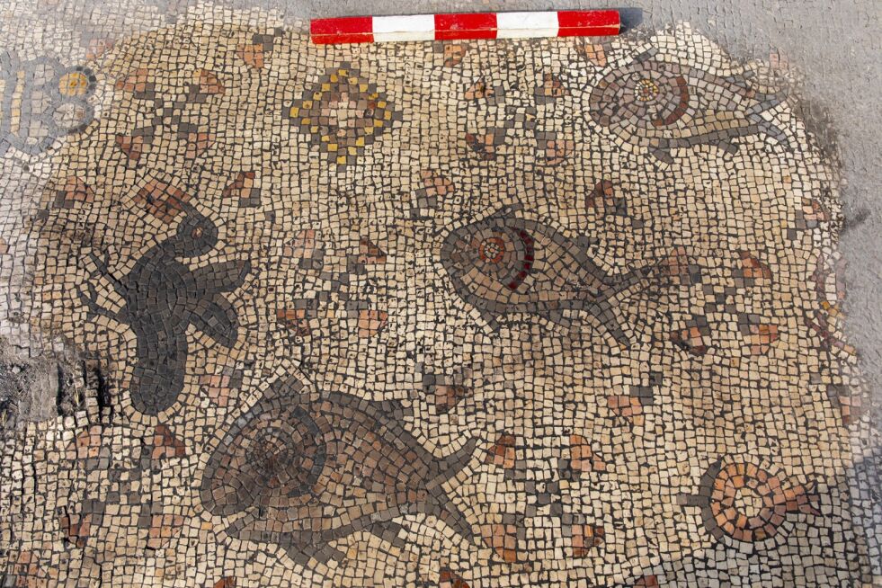 En del av mosaikkgulvet som nylig ble oppdaget i nærheten av Gennesaret-sjøen.
 Foto: Dr. Michael Eisenberg (University of Haifa)