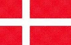 Ni tatt for terrorplaner i Danmark