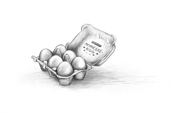 Adopterte egg