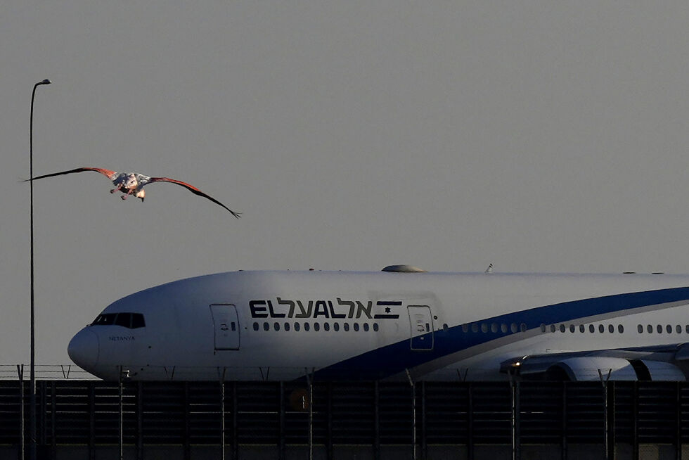 En flamingo flyr foran et passasjerfly som tilhører det israelske nasjonale flyselskapet El Al.
 Foto: NTB/AP/Petros Karadjias