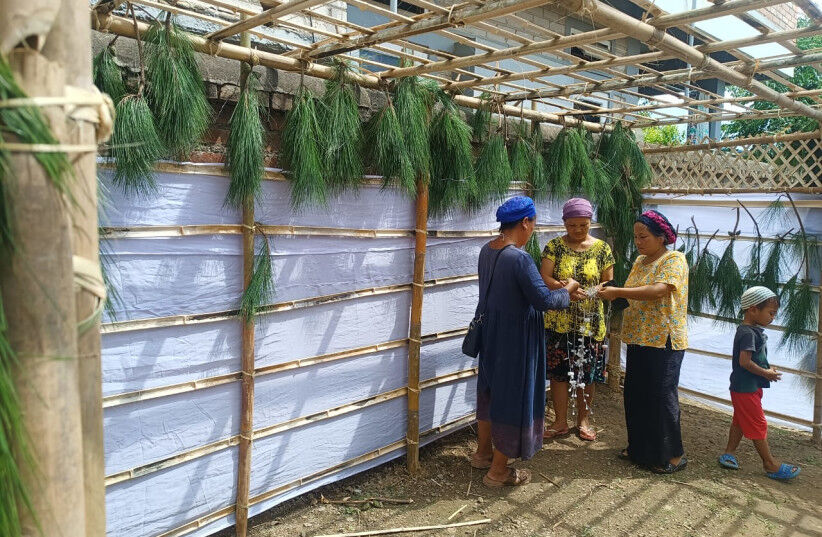 Jøder fra Bnei Menashe-samfunnet, nord i India, feirer Løvhyttefest under svært vanskelige forhold.
 Foto: Med tillatelse fra Shavei Israel.