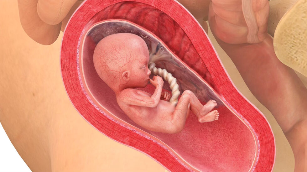 Satanister ser på abort som et satanisk rituale.
 Foto: babyverden.no