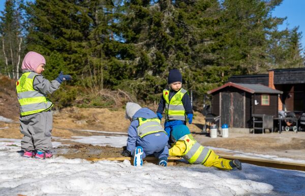 De rødgrønne skaper Forskjells-Norge