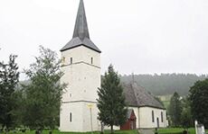 Ansetter ikke gifte homofile prester