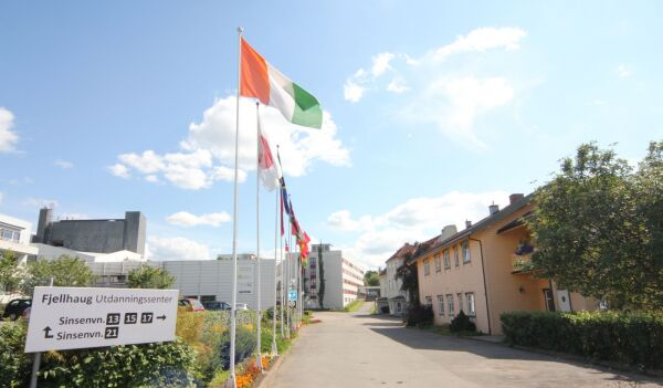 Furnes vil heise Israels flagg i Indremisjonsforbundet