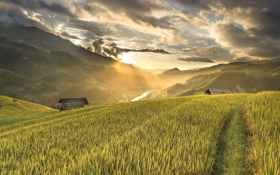 NIBIO gir årlig ut «Utsyn over norsk landbruk.» Der kommer det fram at Norge har en selvforsyningsgrad på 45 prosent.
 Foto: Pixabay