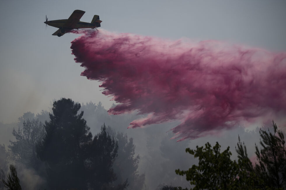 Et fly som deltar i slokningsarbeidet i Nord-Israel etter rakettangrep fra  Hizbollah i Libanon 12. juni 2024.
 Foto: NTB/AP/Leo Correa