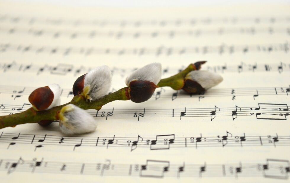 Foto: Frauke Riether/Pixabay
