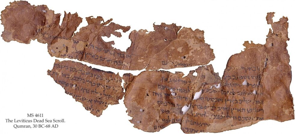 Fragment fra 3. Mosebok, del av Dødehavsrullene som er i Schøyensamlingenes eie.
 Foto: Schøyensamlingene