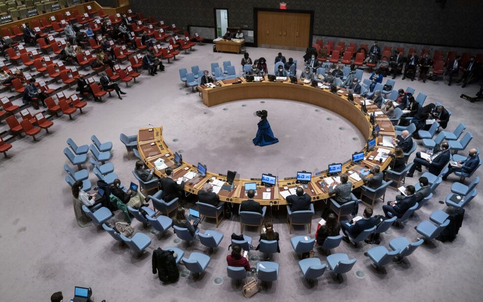 FNs Sikkerhetsråd.
 Foto: John Minchillo / AP / NTB