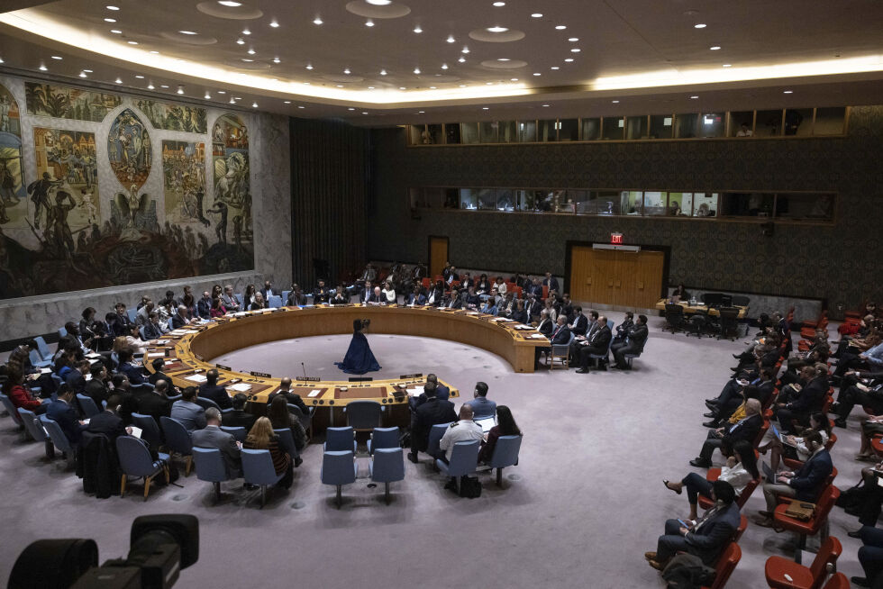 Palestinernes søknad om FN-medlemskap ble møtt med veto fra USA.
 Foto: Yuki Iwamura / AP / NTB