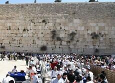Israel har nå passert 7.4 mill. innbyggere