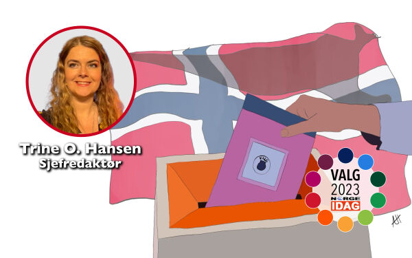 Det handler om verdier