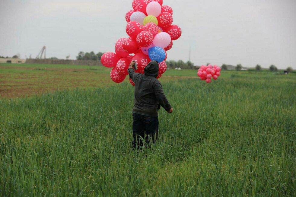 Gaza-innbyggere sender brannstiftende ballonger mot Israel.
 Foto: Majdi Fathi/TPS
