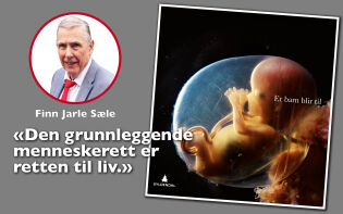 8. mars, kvinnedagen, fortjener bedre