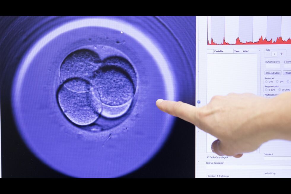 Vurdering av embryo under assistert befruktning på Fertilitetsseksjonen ved St. Olavs Hospital Universitetssykehuset i Trondheim. Illustrasjonsfoto: NTB Scanpix