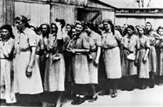 Holocaust- traumer kan gå i arv