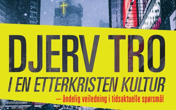 «Kirken må ikke være et haleheng etter dagens politiske korrekthet»