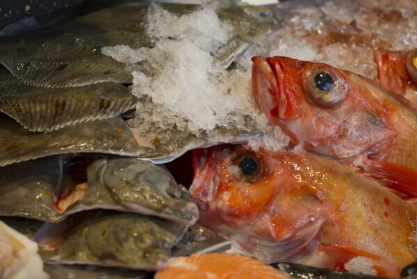 – Kosthold med 450 gram fisk i uka gir helsegevinst