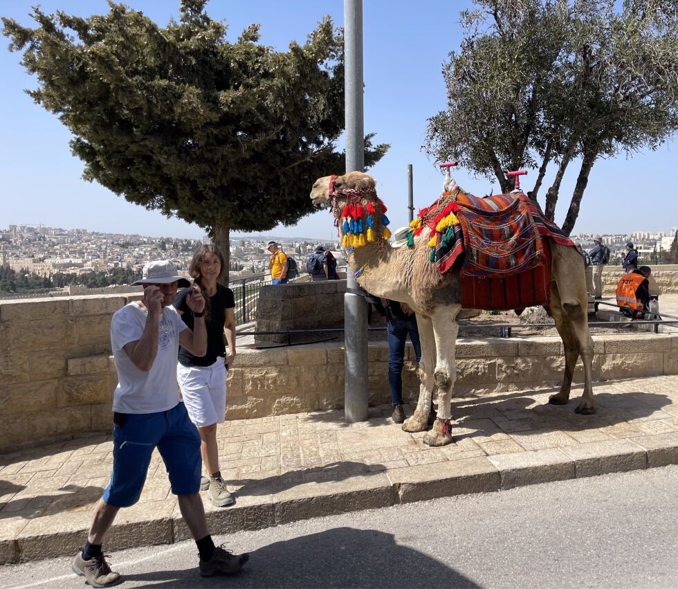 Israels turistindustri blomster igjen etter å ha blitt hardt rammet av koronapandemien. Illustrasjonsbilde.
 Foto: Johnny Myhr-Hansen