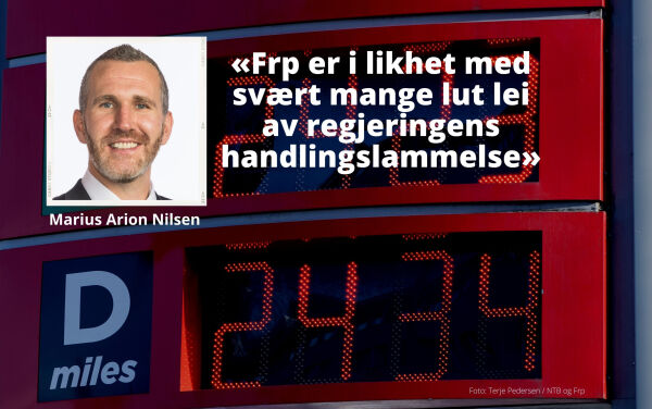 Frp vil ha lavere strømpriser og drivstoffavgifter
