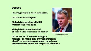 Er det straffbart å beskrive virkeligheten?